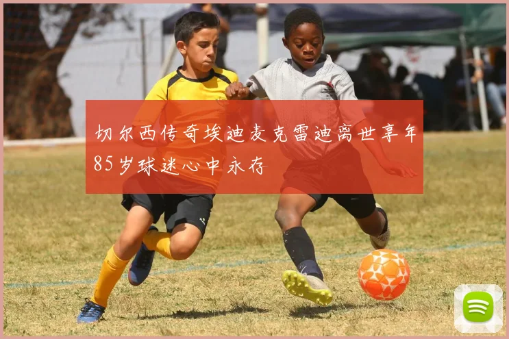 切尔西传奇埃迪麦克雷迪离世享年85岁球迷心中永存