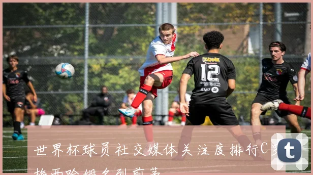 世界杯球员社交媒体关注度排行C罗梅西哈姆名列前茅