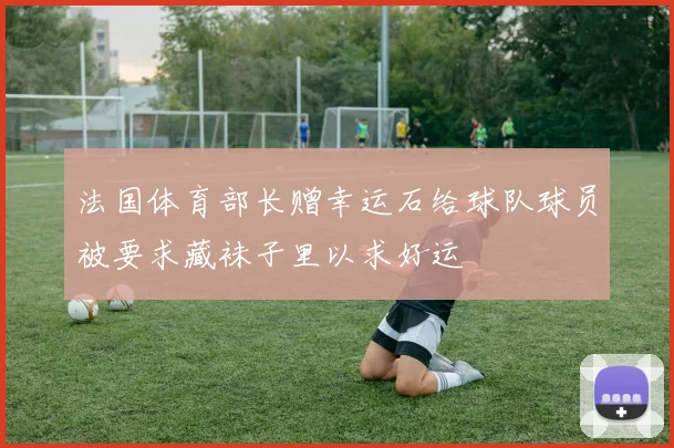 法国体育部长赠幸运石给球队球员被要求藏袜子里以求好运