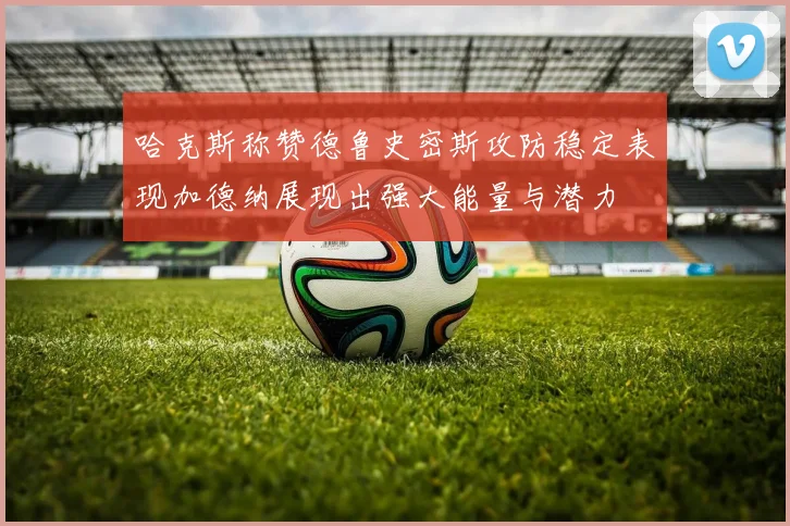 哈克斯称赞德鲁史密斯攻防稳定表现加德纳展现出强大能量与潜力